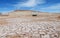 Dry salty soil pattern in San Pedro de Atacama desert