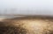 Dry sand texture on released pond ground in misty fog. Czech landscape
