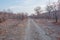 Dry sandy and dusty vehicle track in the wilderness