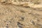 Dry sandy land, road, seashore on a hot day. Close-up. Space for text. Background