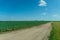 A dry sandy road passes through a field under the scorching sun and clouds. Dirt road outside the city in the village. Arid