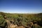 Dry scrubby landscape near Winton, Queensland.