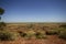 Dry scrubby landscape near Winton, Queensland.