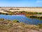 Dry season in the Camargue Natural Park - arid landscape