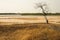 Dry season landscape in senegal