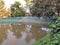 Dry Season in winter pond,  village Area