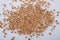 Dry selective beetroot seeds. Beet, Beta vulgaris,