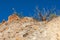 Dry shrubs on a rocky hill in Baja