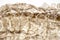 Dry skin of snake on white background, macro photo. Snake skin closeup with backlight. Reptile scale pattern.