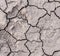 Dry soil cracks