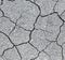 Dry soil cracks