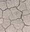 Dry soil cracks