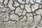 Dry soil surface with deep cracks. Drying pond. Global climate change