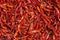 Dry spice chili peppers background in asia market