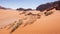 dry spines on the dunes in red desert with rocks Wadi Rum in Jordan during the day