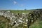 Dry stone wall