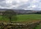 Dry stone wall