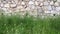 Dry stone wall made of grey stone with high grass