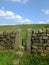 A dry stone wall with stone stile or narrow gate with steps in a yorkshire dales hillside meadow with a bright blue summer sky