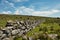 Dry Stone Wall To Wistman`s Wood