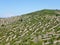 Dry stone walls on the Croatian isle Hvar