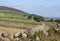 Dry stone walls typical of those found in the Mourne Mountains of County Down in Northern Ireland