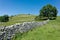 Dry stone Walls - Yorkshire Dales, England