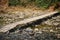 Dry stony river bed with Bamboo bridge