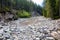 Dry stony riverbed in coniferous forest in Tatra Mountains, Poland