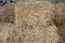 Dry straw bale for feeding farm animal in barn