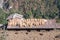 Dry straw on the roof for feed animals