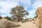 Dry Stream Bed Joshua Tree National Park