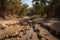 dry streambed with water running downstream, representing the florid past of drought