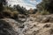 dry streambed with water running downstream, representing the florid past of drought