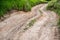 Dry summer dirt road closeup with selective focus