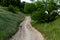 Dry summer dirt road on green hill wtih tree closeup with selective focus and blur