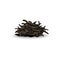 Dry tea leaves heap isolated on white background - pile of brown leaves
