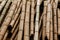 Dry thick bamboo pole