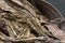 Dry tobacco leaves in the basket, close up, texture