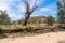 Dry Todd River and Bush Landscape