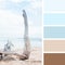 Dry tree on the beach. color palette swatches. pastel hues