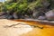 Dry tree branch on the sand at Tidal River,