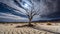 dry tree in dry cracked soil night scene