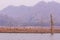 Dry tree in Mawngad Dam, Chiangmai Thailand