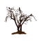 Dry tree and ravens on a white background