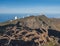 Dry tree roots at highest peak of La Palma Roque De Los Muchachos with big telescopes of Observatory at Caldera De