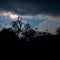 The dry tree shows a silhouette in the afternoon, and the sun is bright in the west