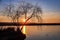 Dry tree at sunset on Comana lake, Giurgiu, Romania.