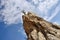 Dry tree on the top of geological rock formations in Love Valley