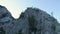 Dry trees on ledges of rocks. Shot. Rare dry trees and shrubs on ledges of rock massifs on background of blue sky